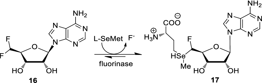 Scheme 2