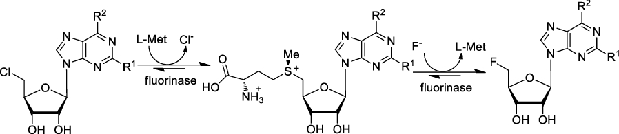 Scheme 3