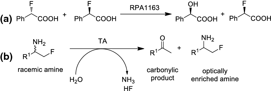 Scheme 4