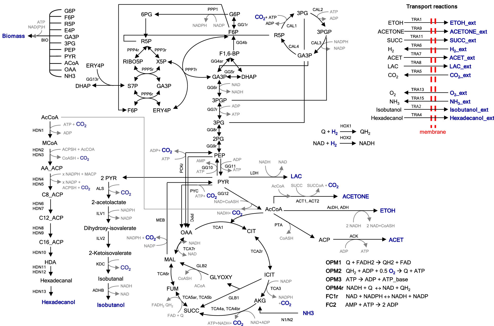 Fig. 1