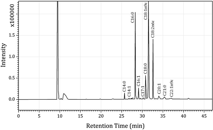 Fig. 7