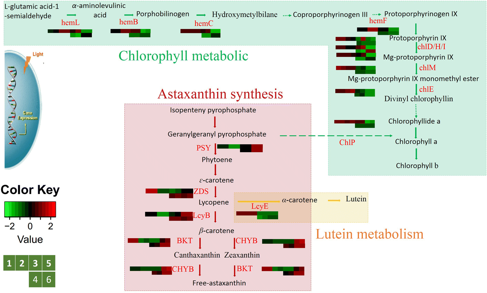 Fig. 4