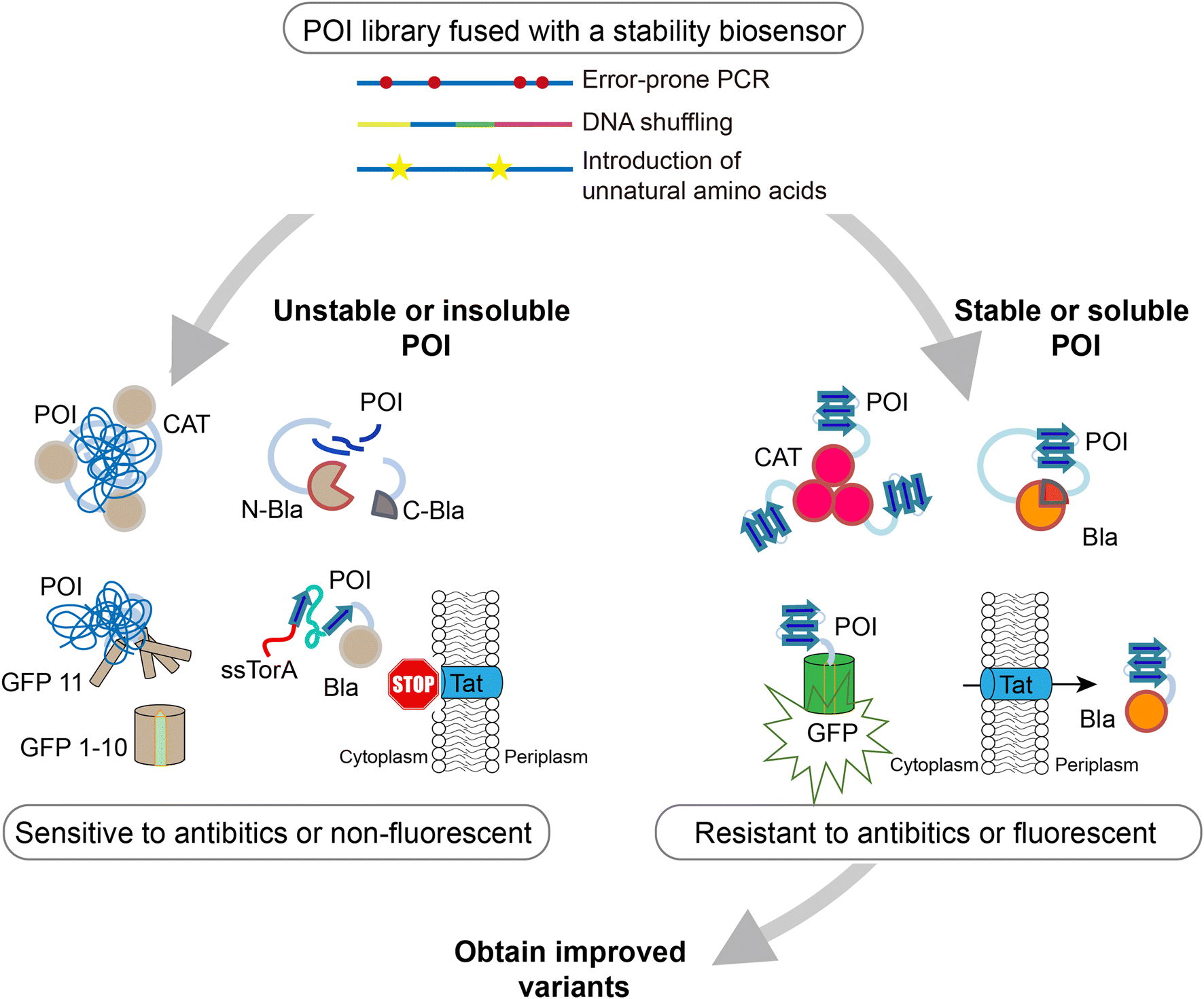 Fig. 2