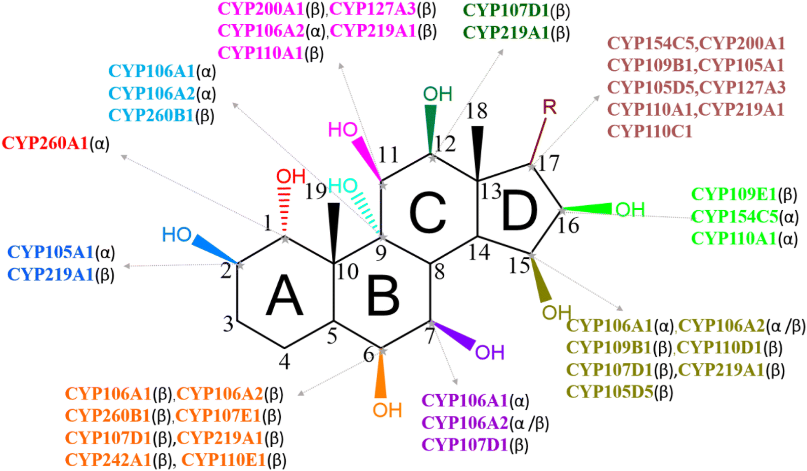 Fig. 2