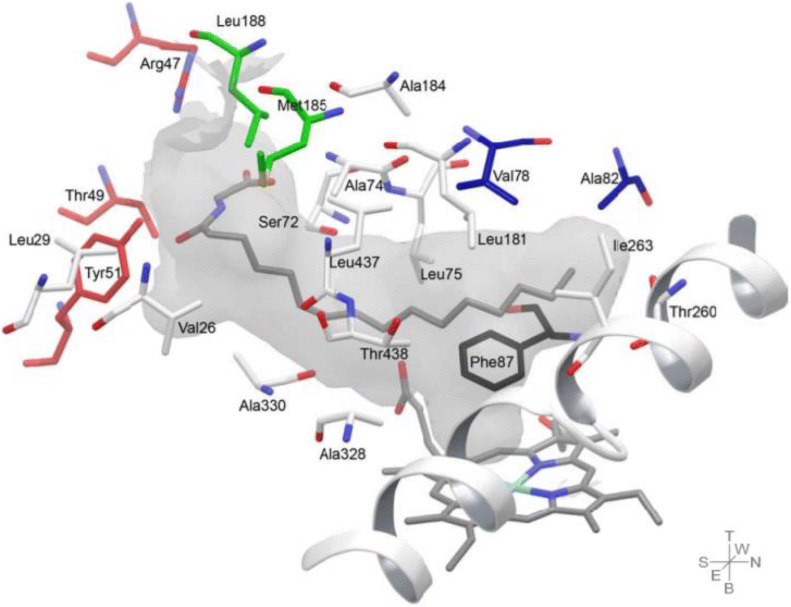 Fig. 4