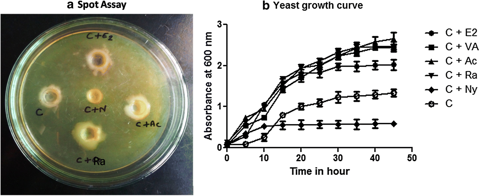 Fig. 7