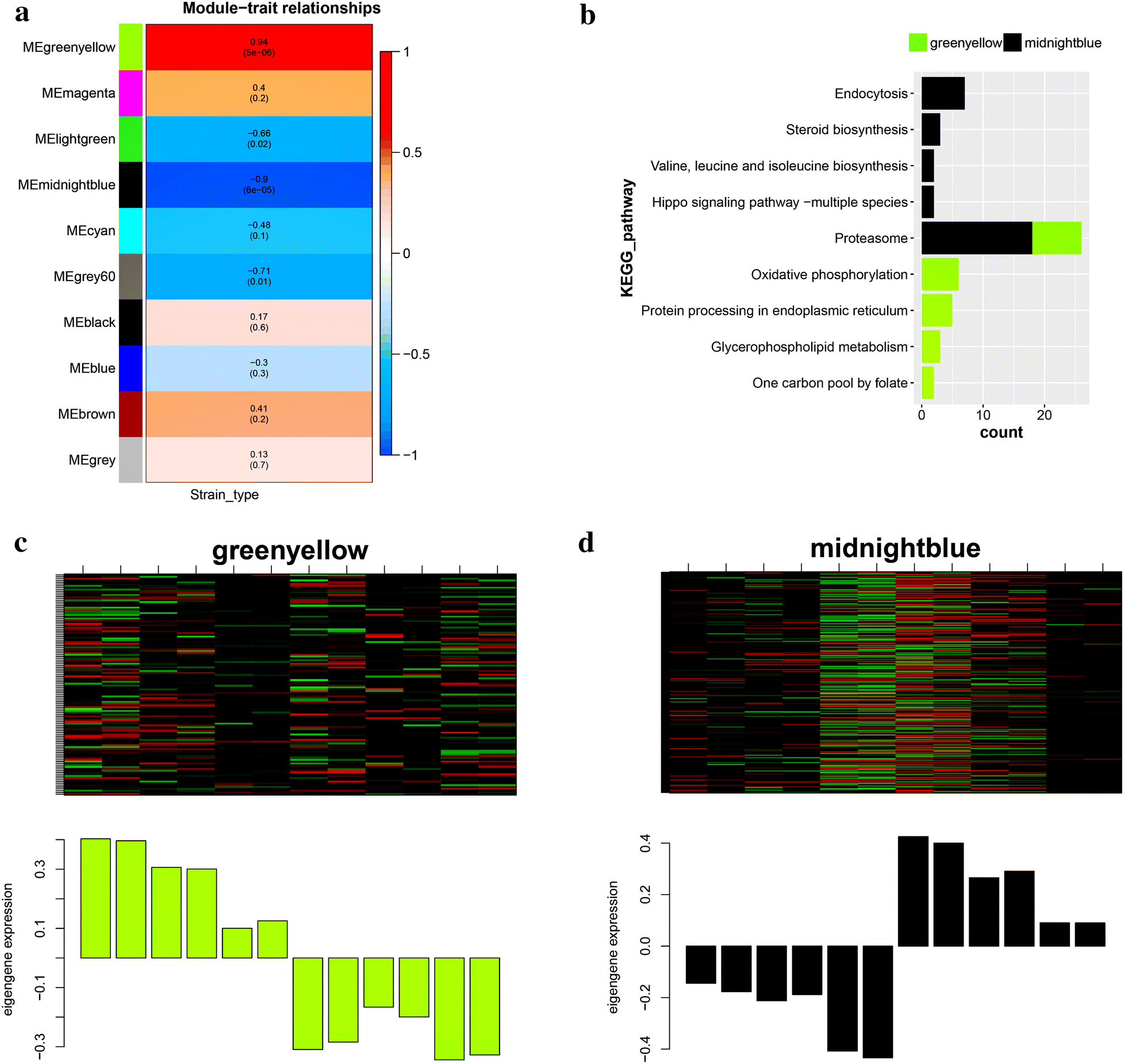 Fig. 3