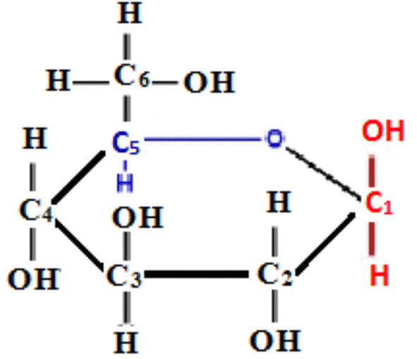 Fig. 1