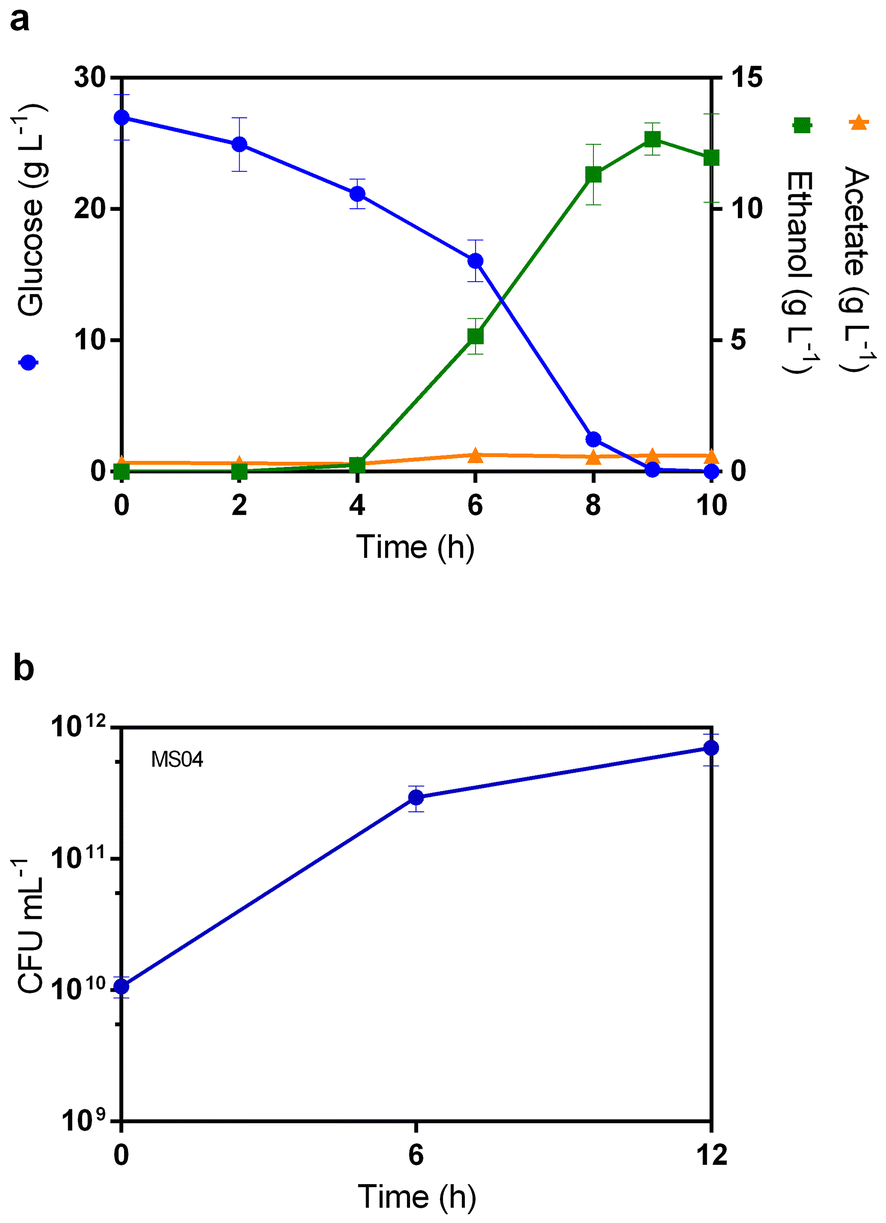 Fig. 3