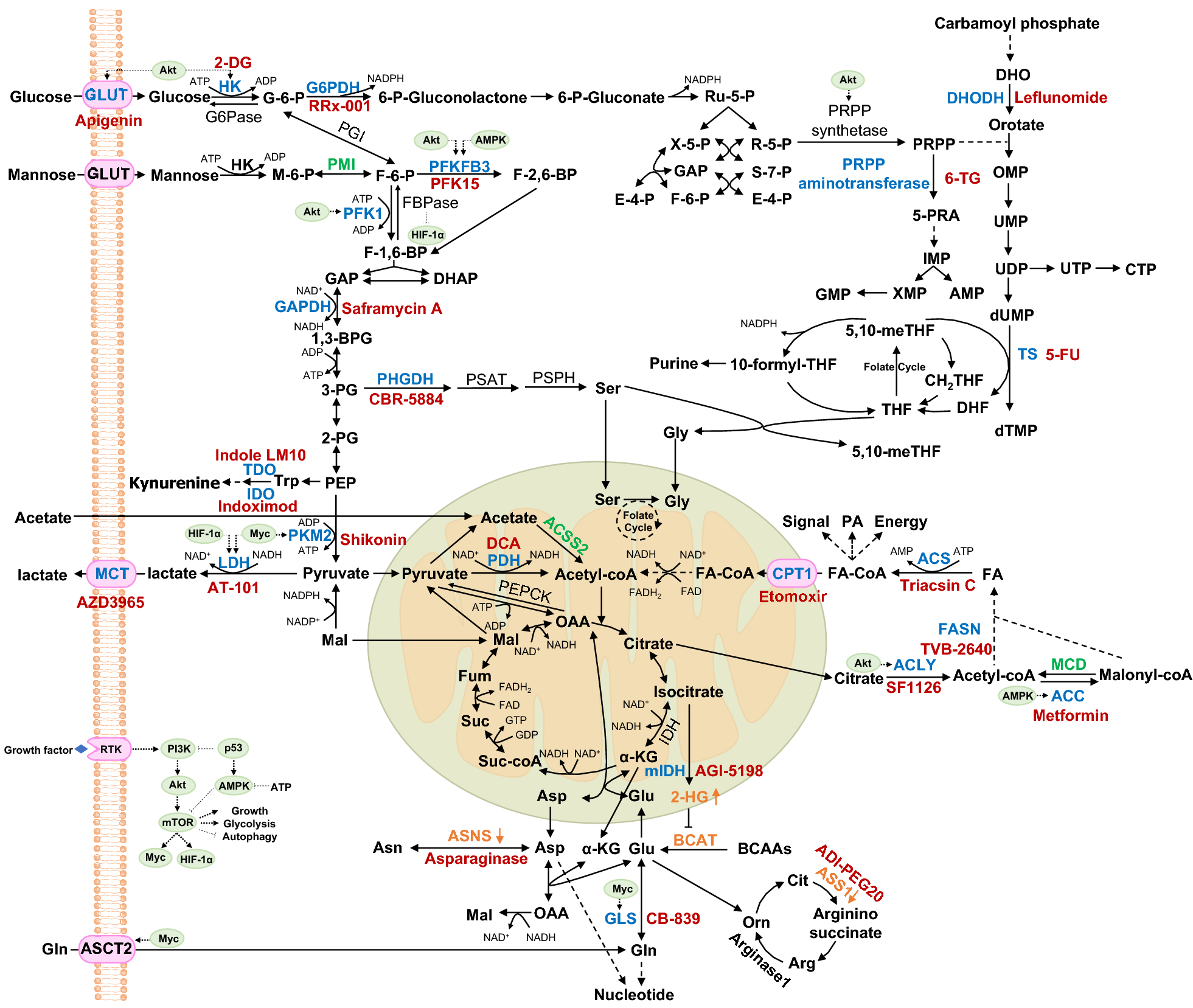 Fig. 1