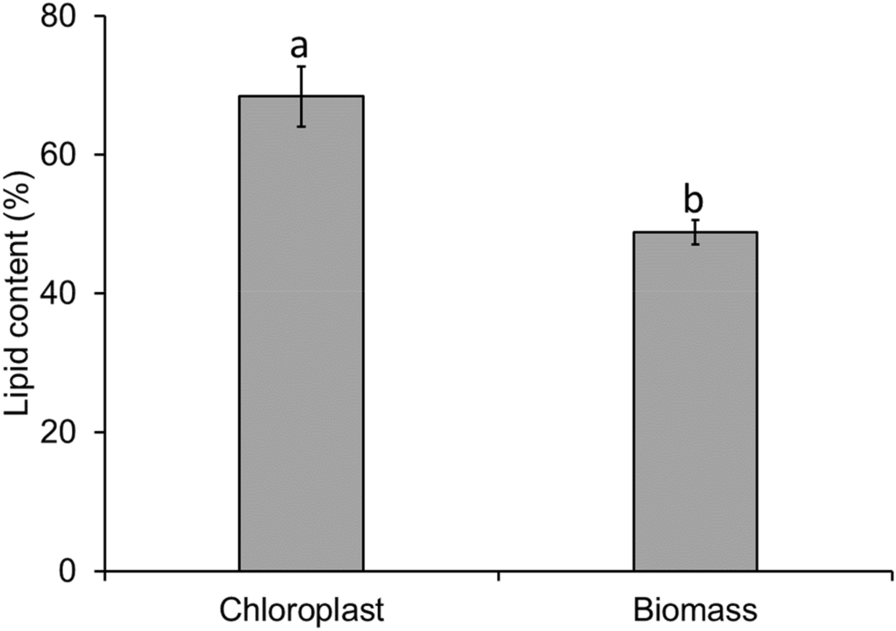 Fig. 4