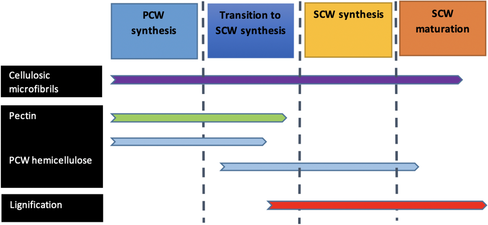 Fig. 6