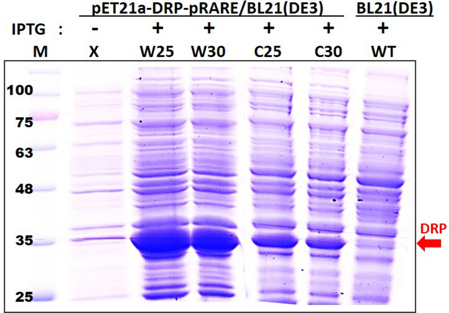 Fig. 3