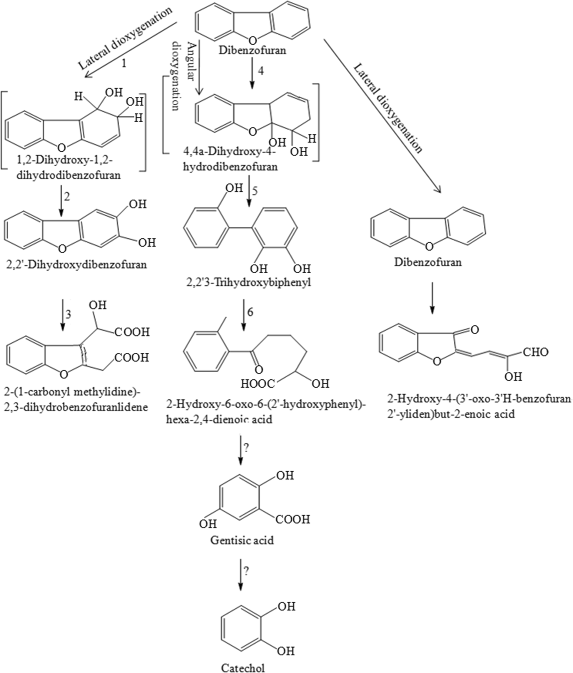 Fig. 6