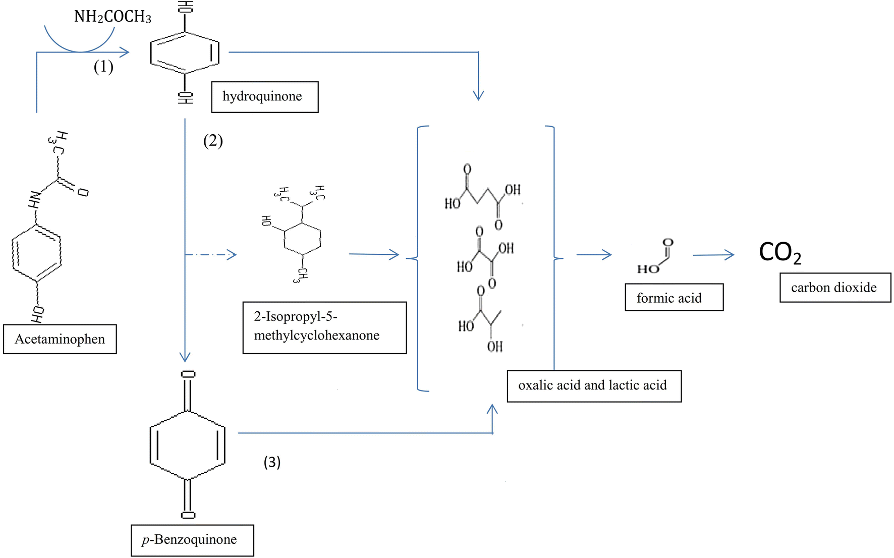 Fig. 7