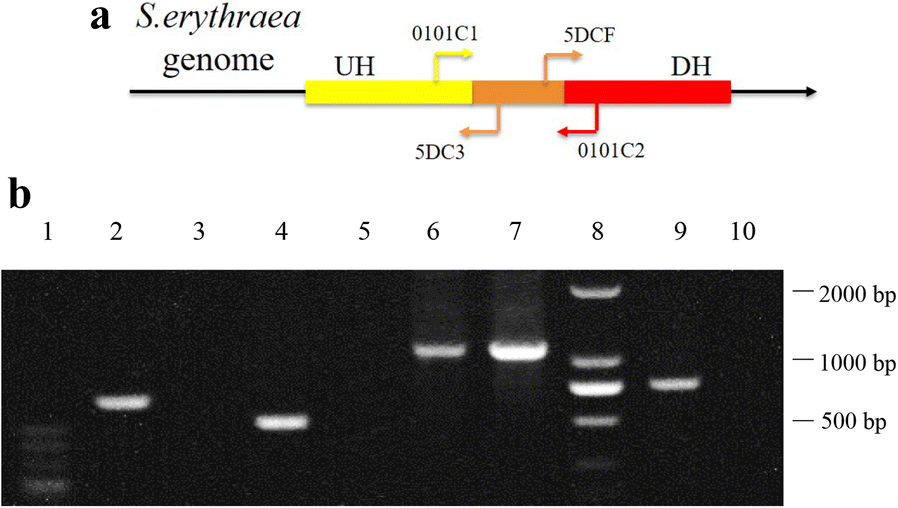 Fig. 2