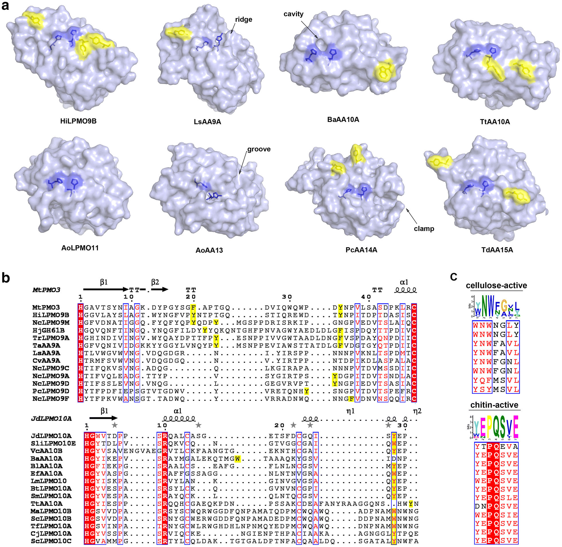 Fig. 3