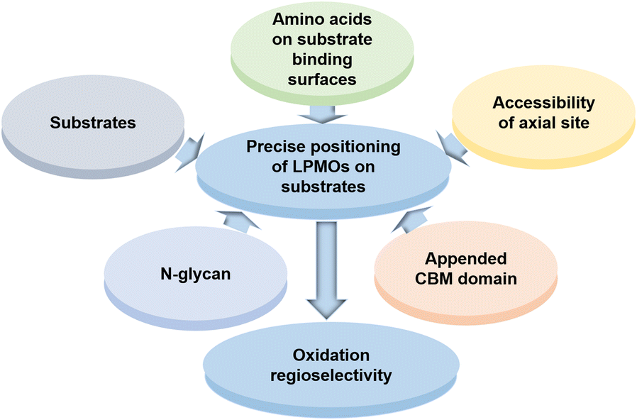 Fig. 4