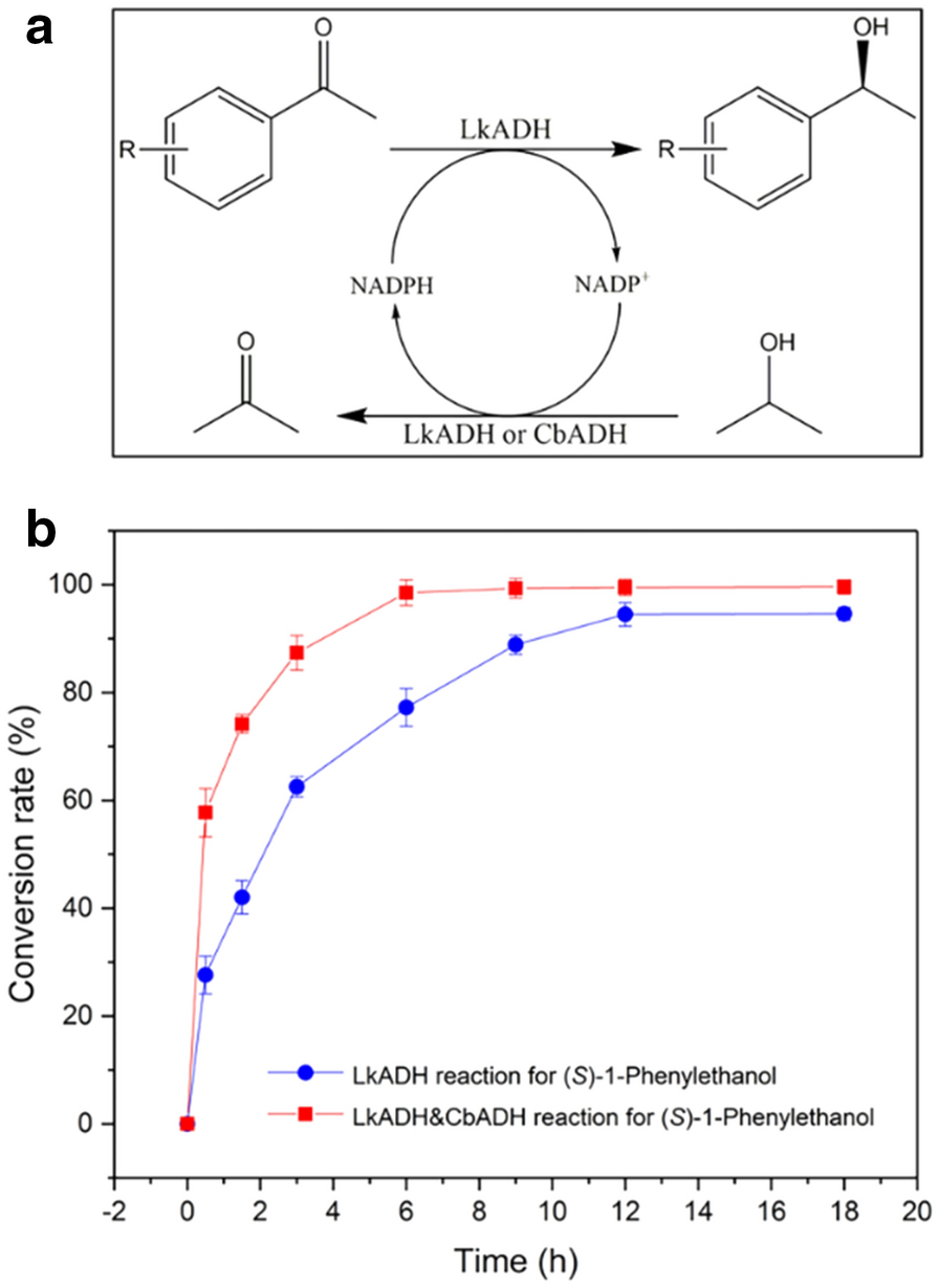 Fig. 8