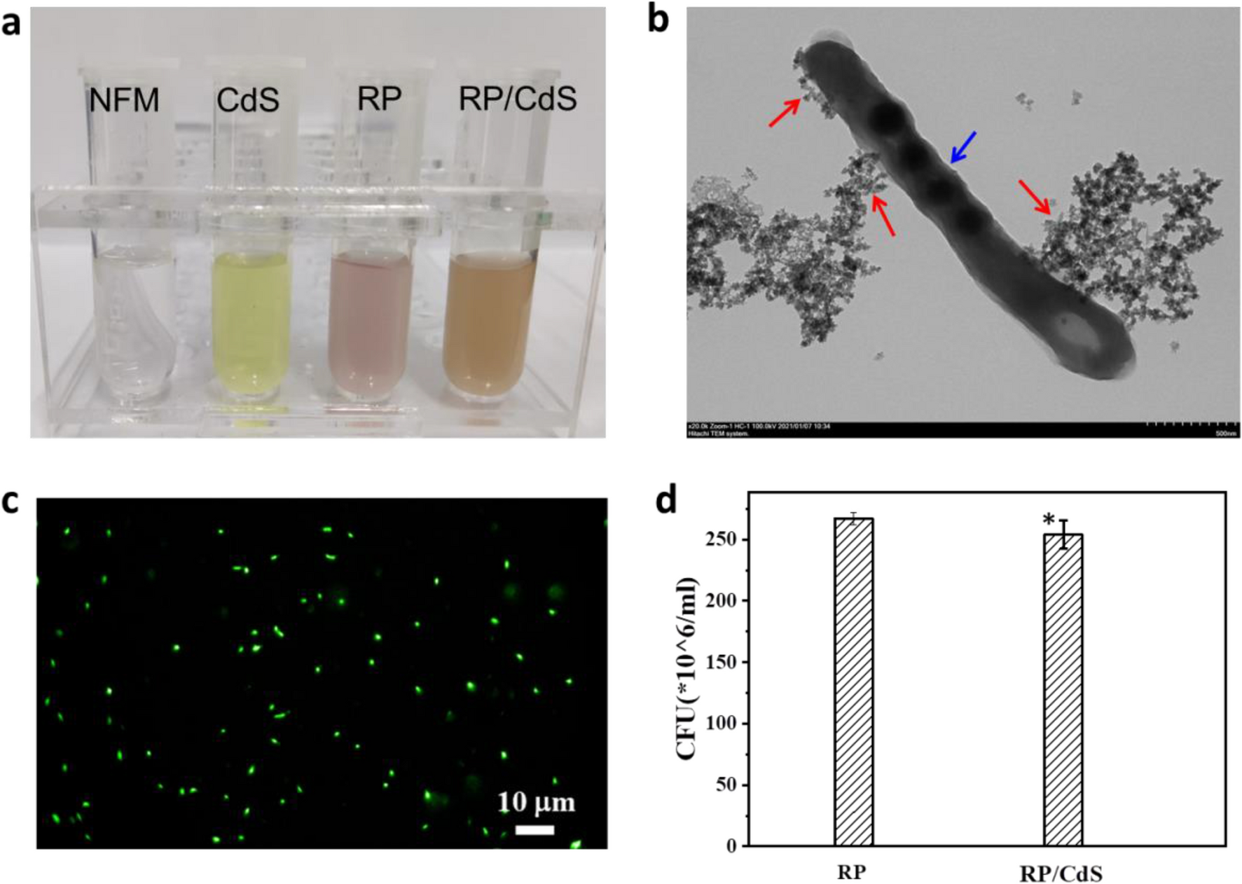 Fig.1