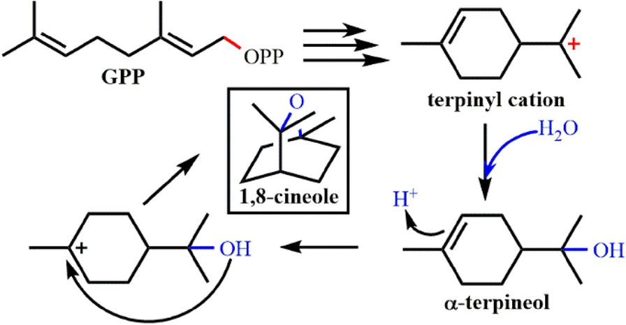 Fig. 8