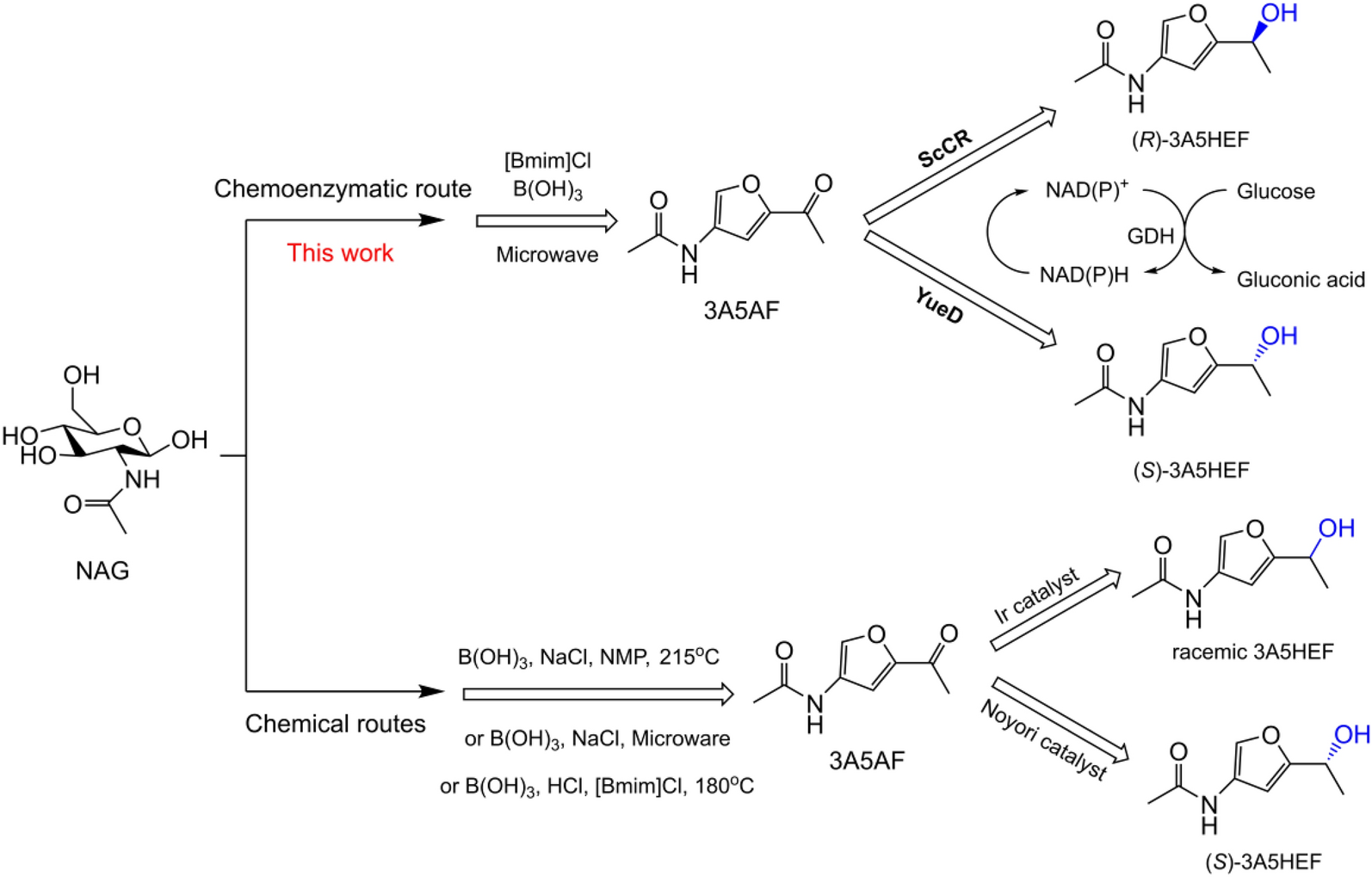 Scheme 1