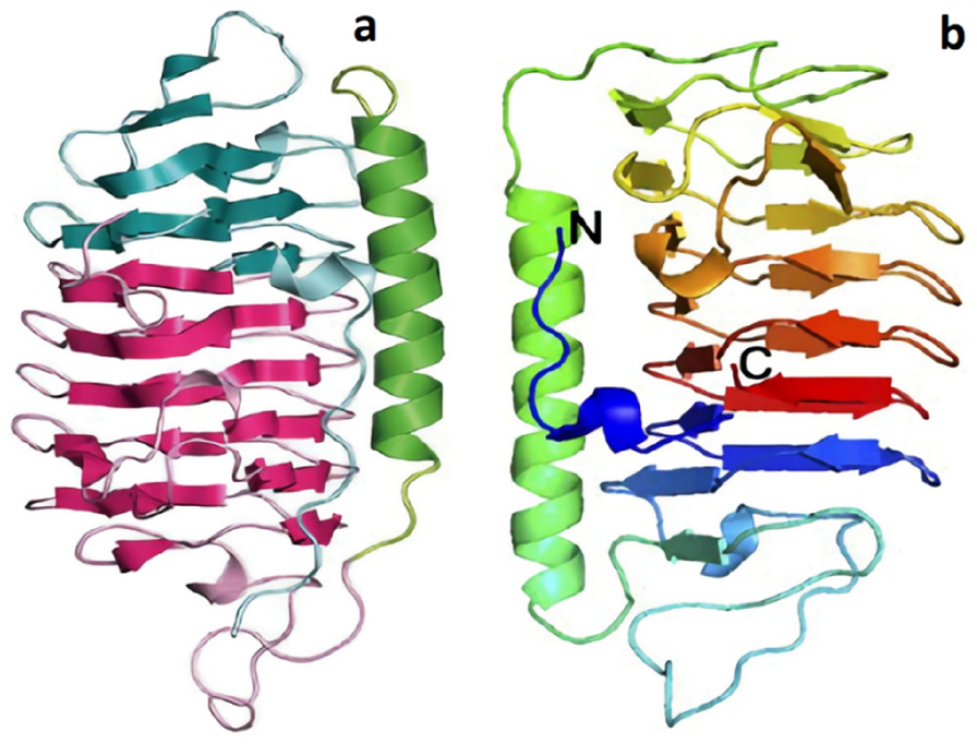 Fig. 2