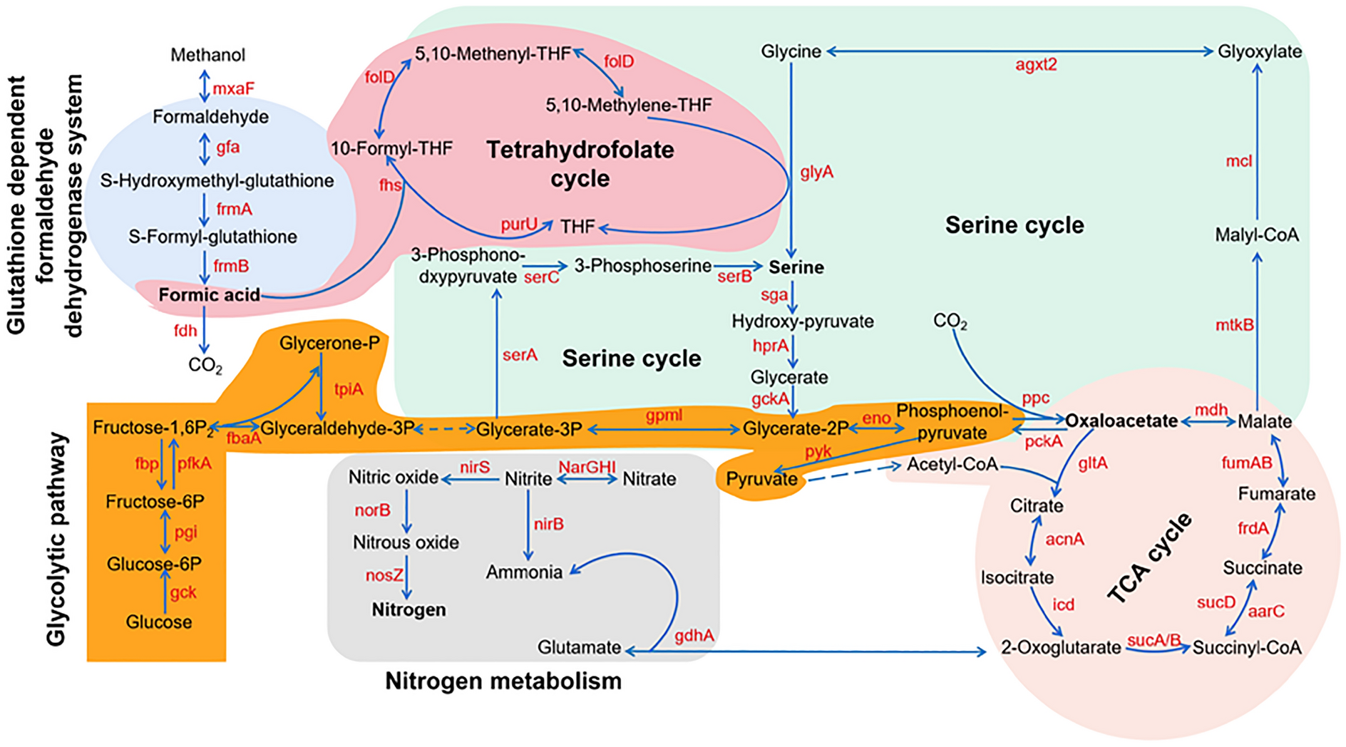 Fig. 2