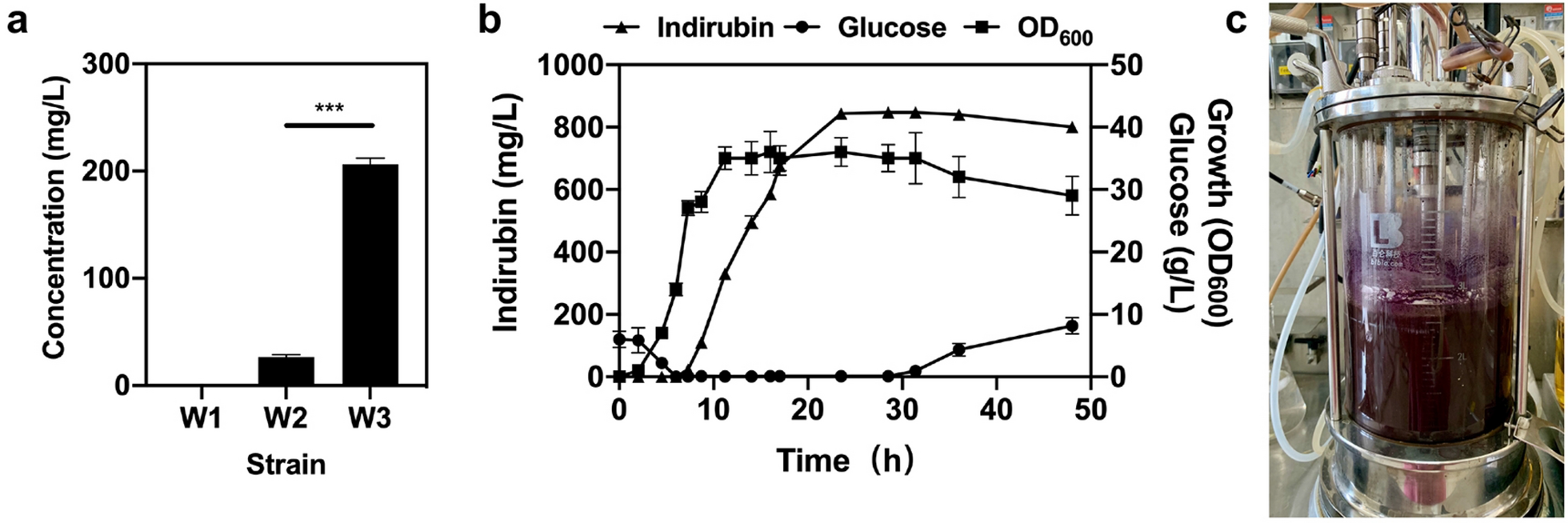 Fig. 9