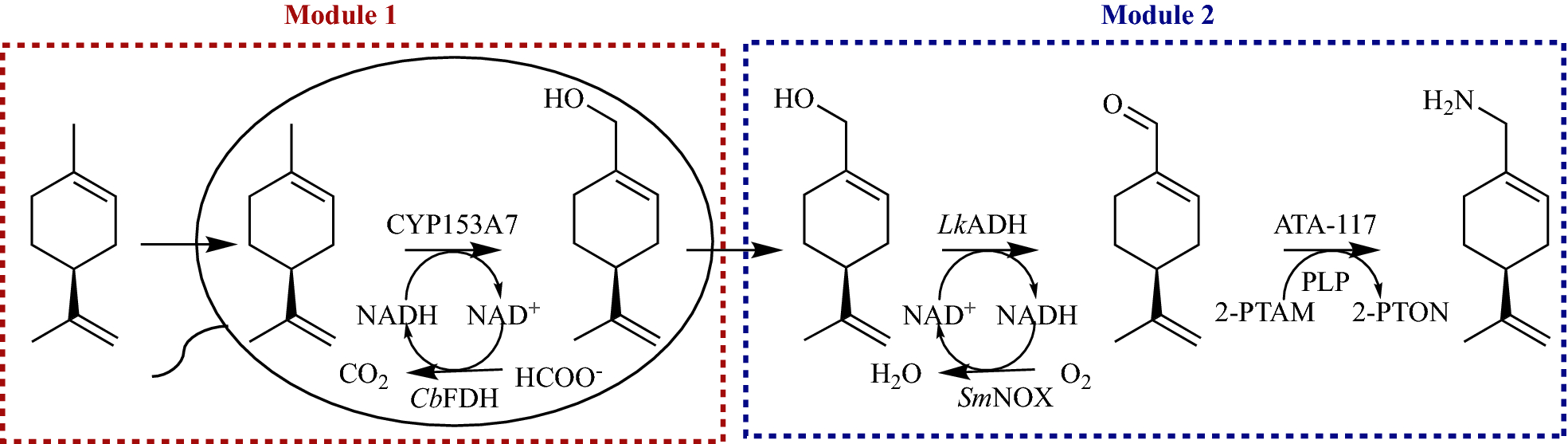 Scheme 1