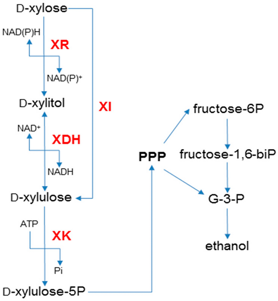 Fig. 3