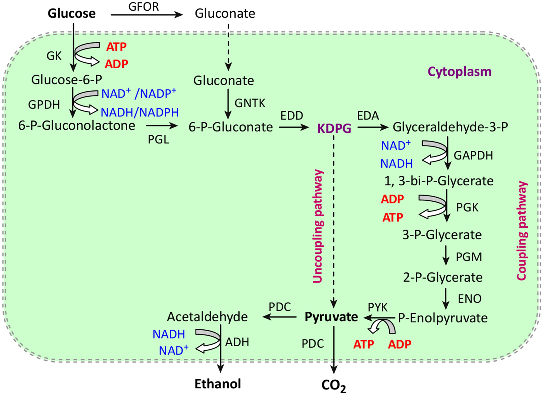 Fig. 4