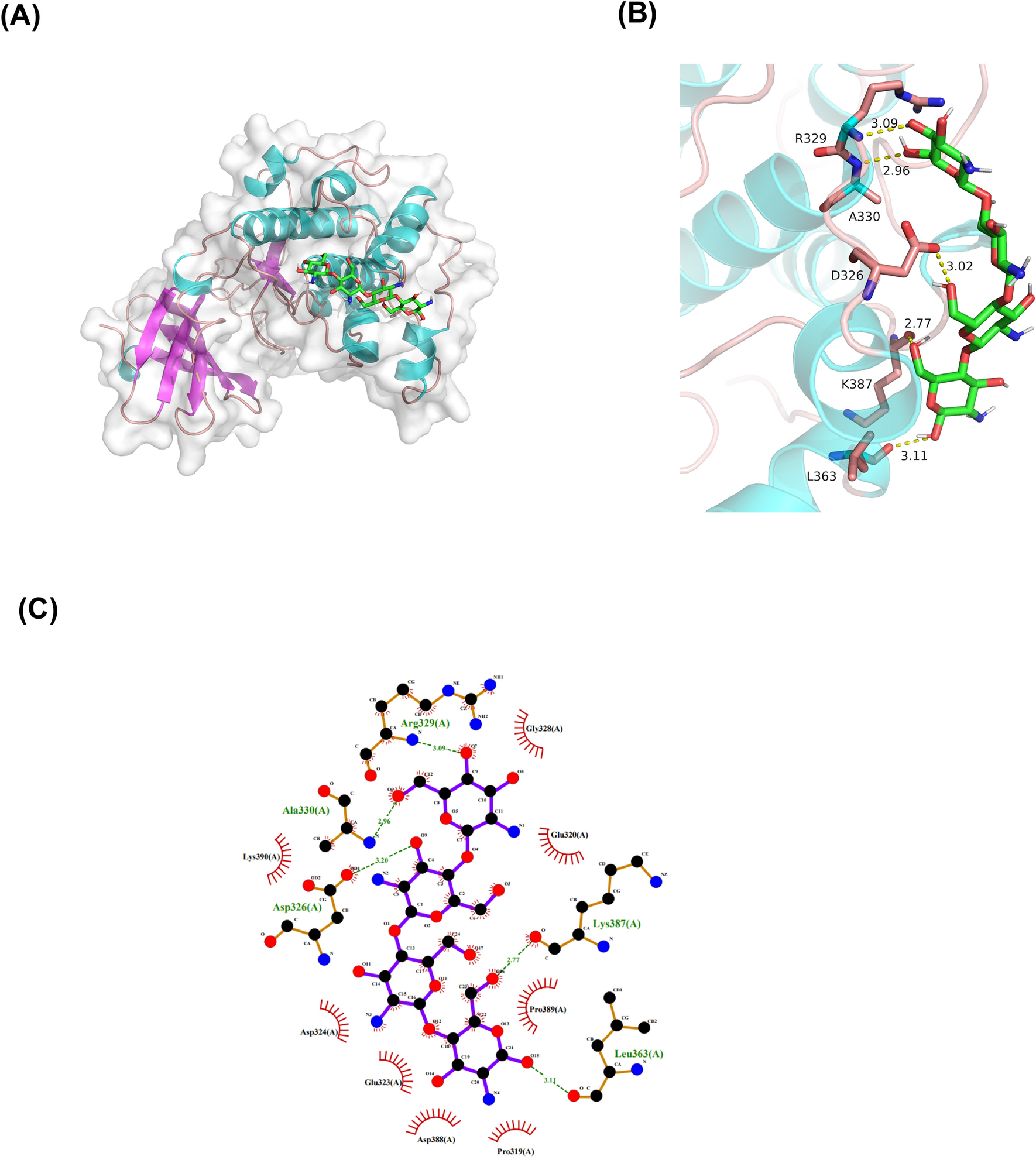 Fig. 12