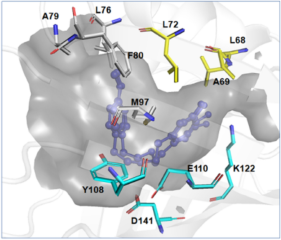 Fig. 3