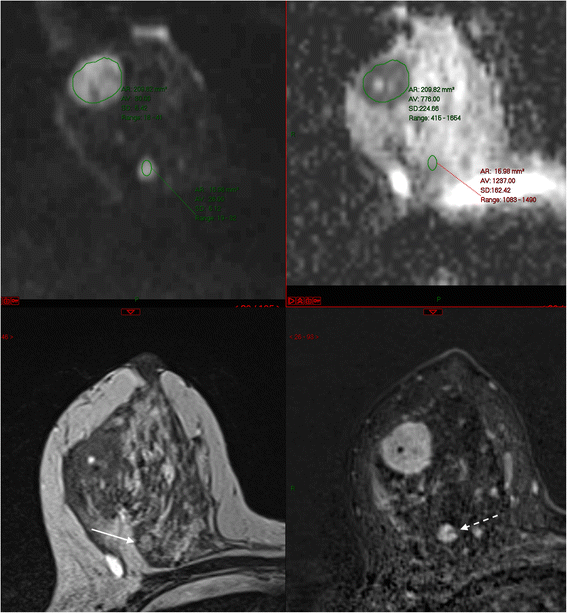 Fig. 8