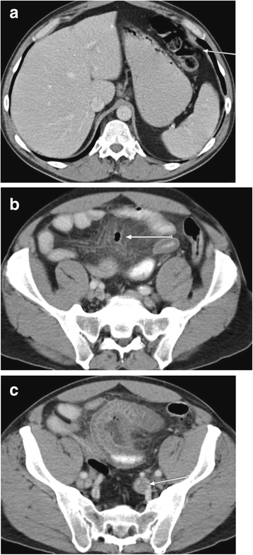 Fig. 5