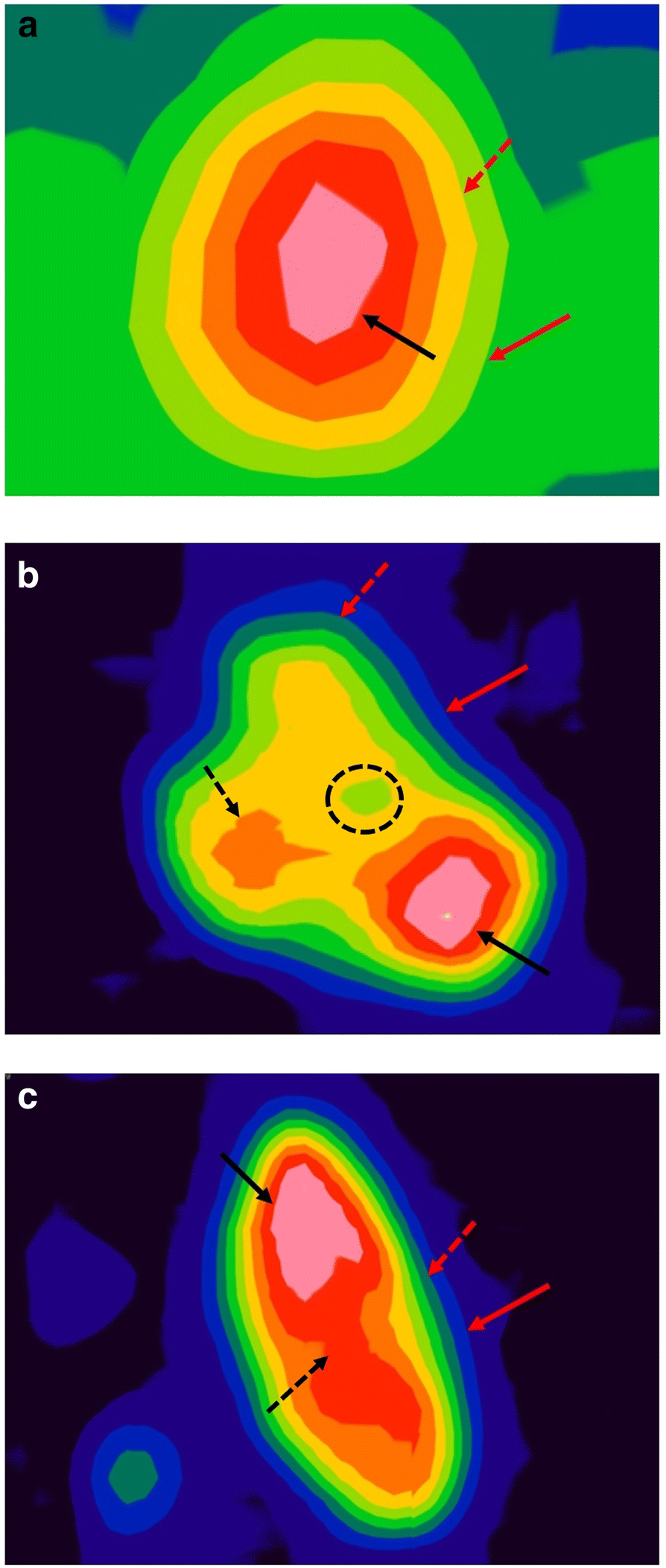 Fig. 3