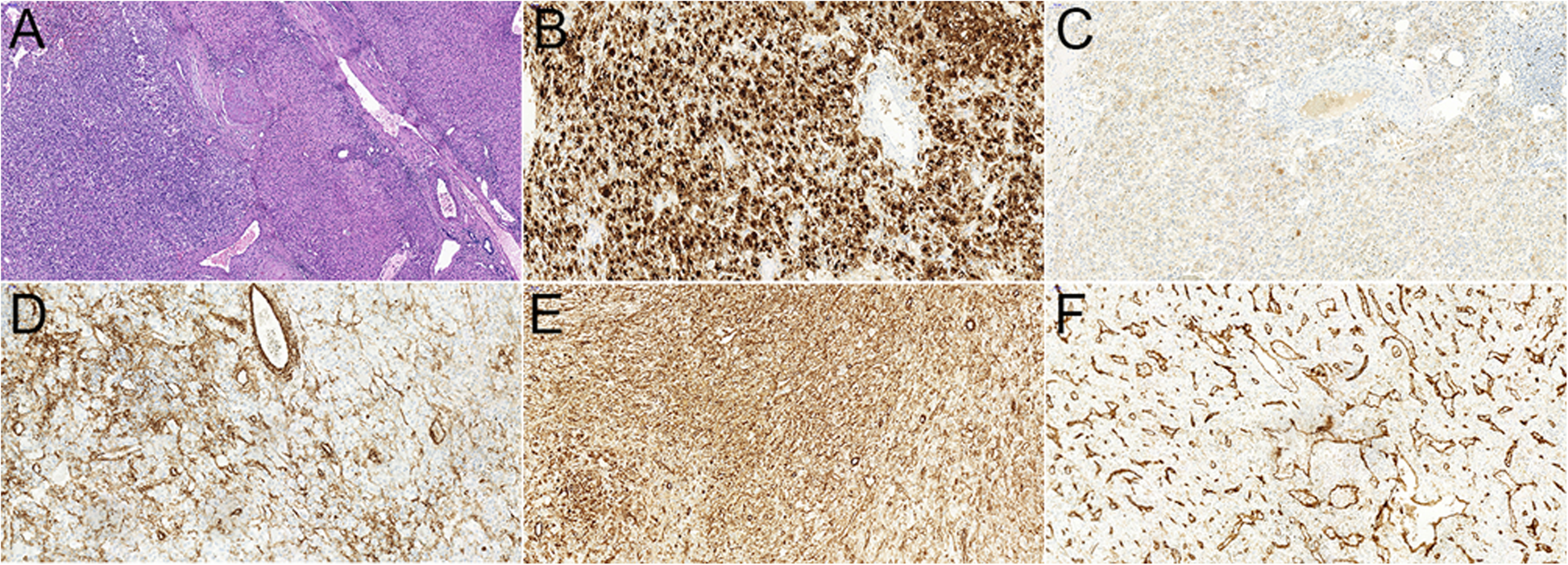 Fig. 6