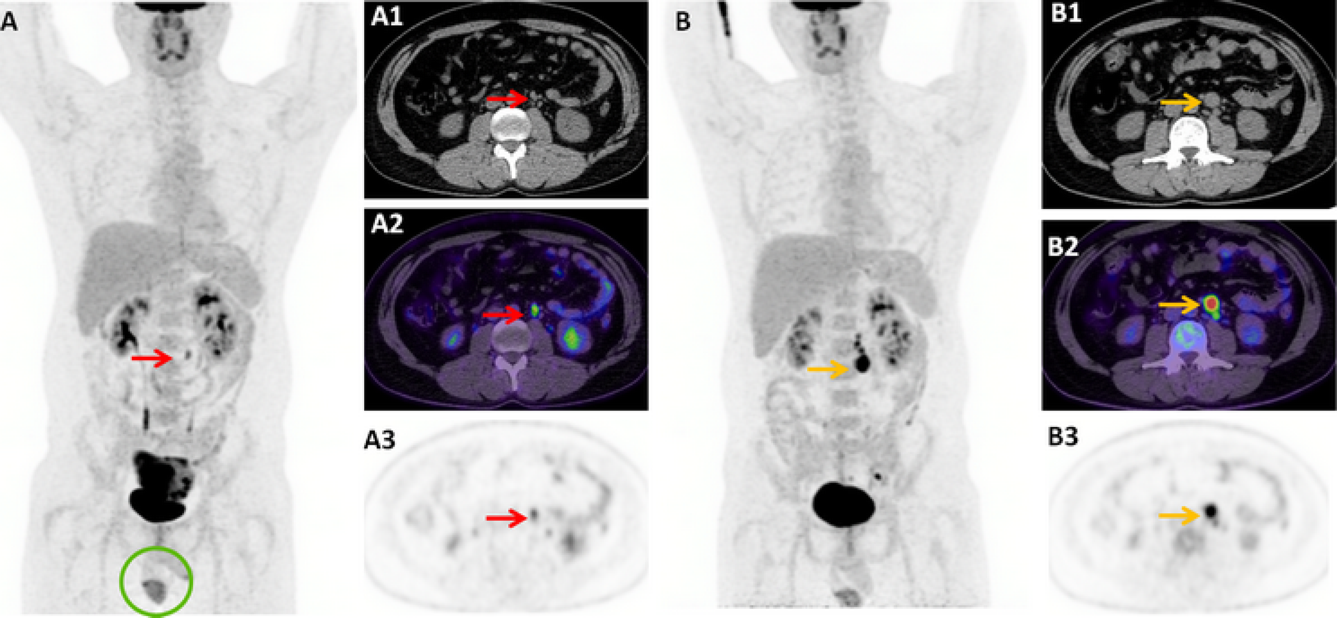 Fig. 4