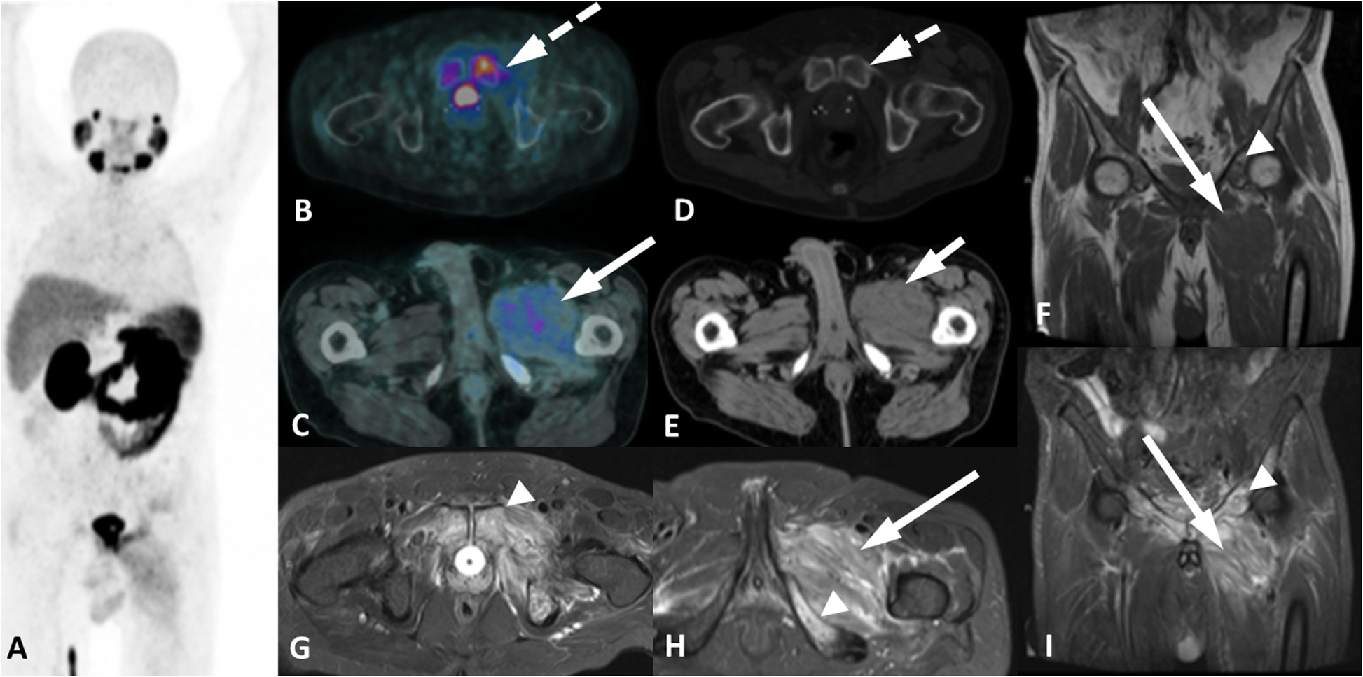 Fig. 5