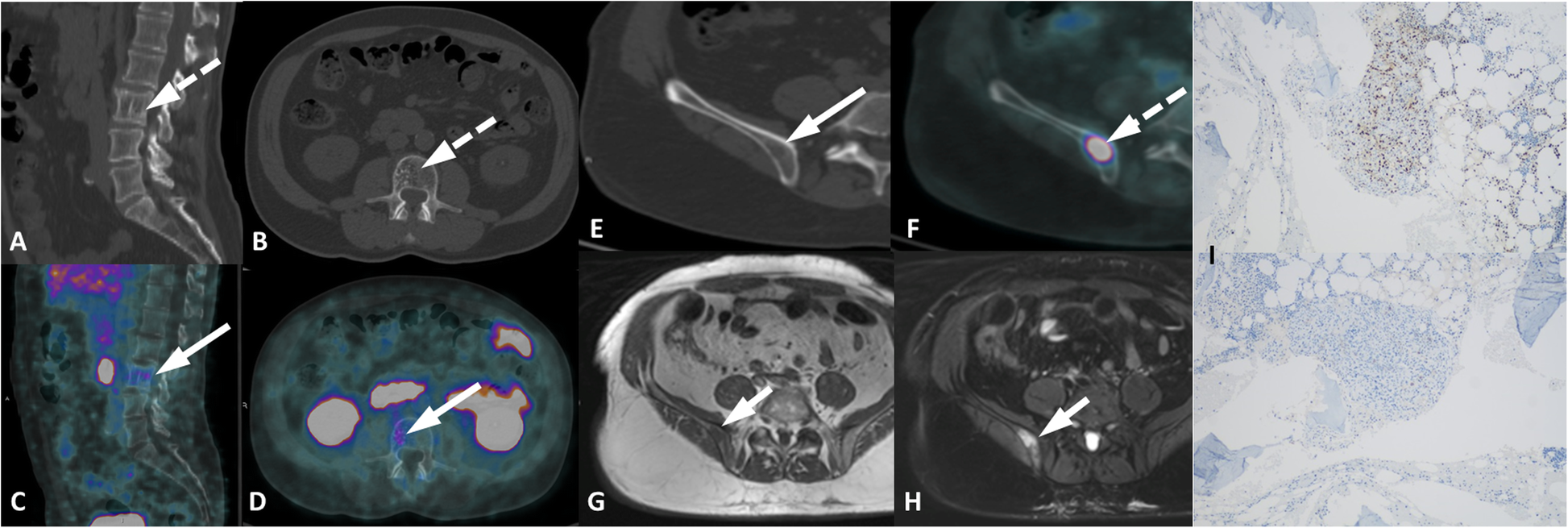 Fig. 9