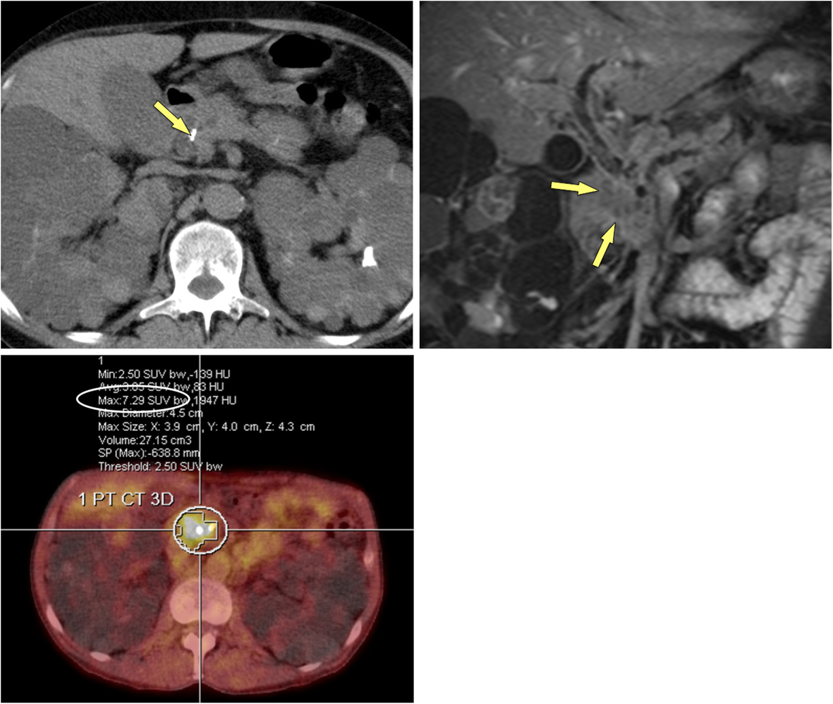 Fig. 9