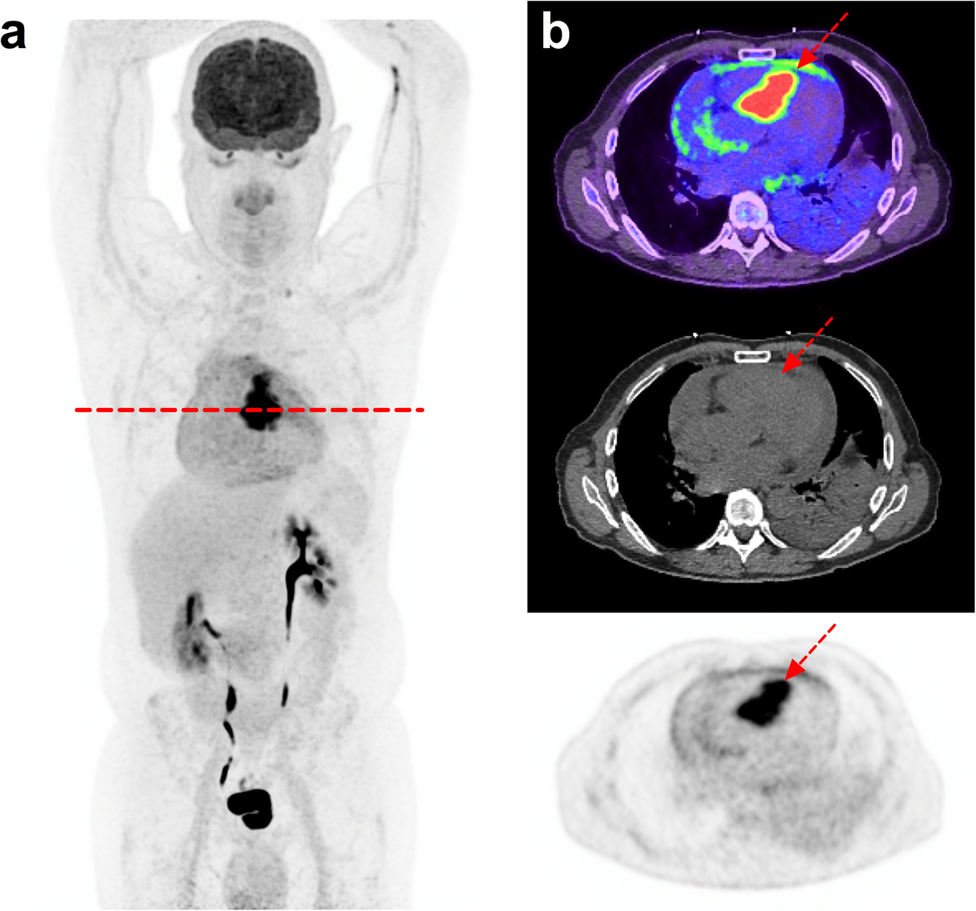 Fig. 3