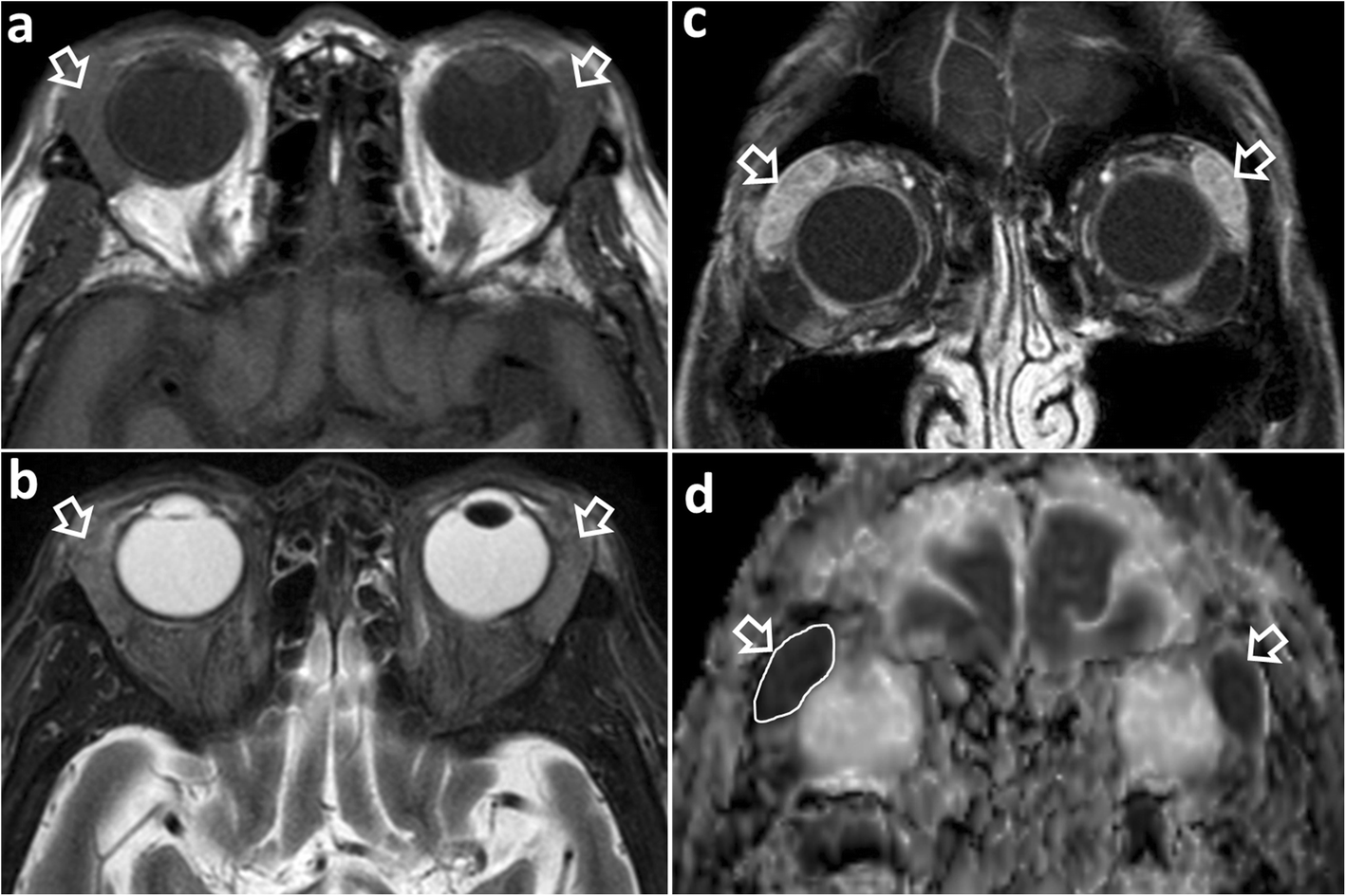 Fig. 5