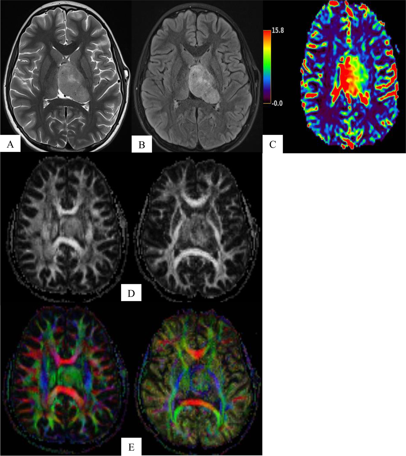 Fig. 4