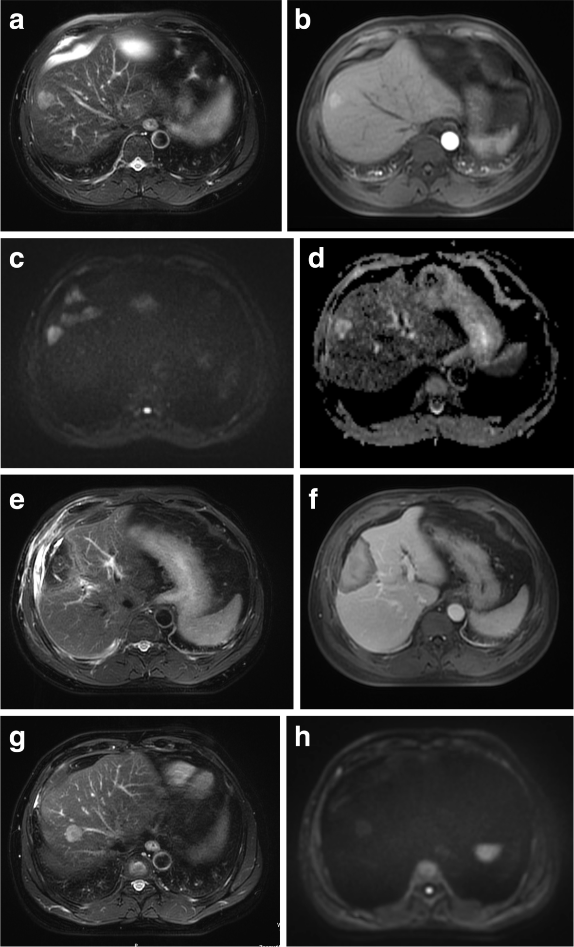 Fig. 5