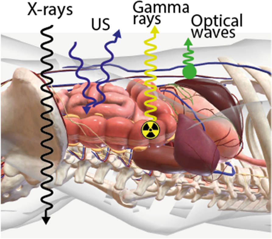 Fig. 3