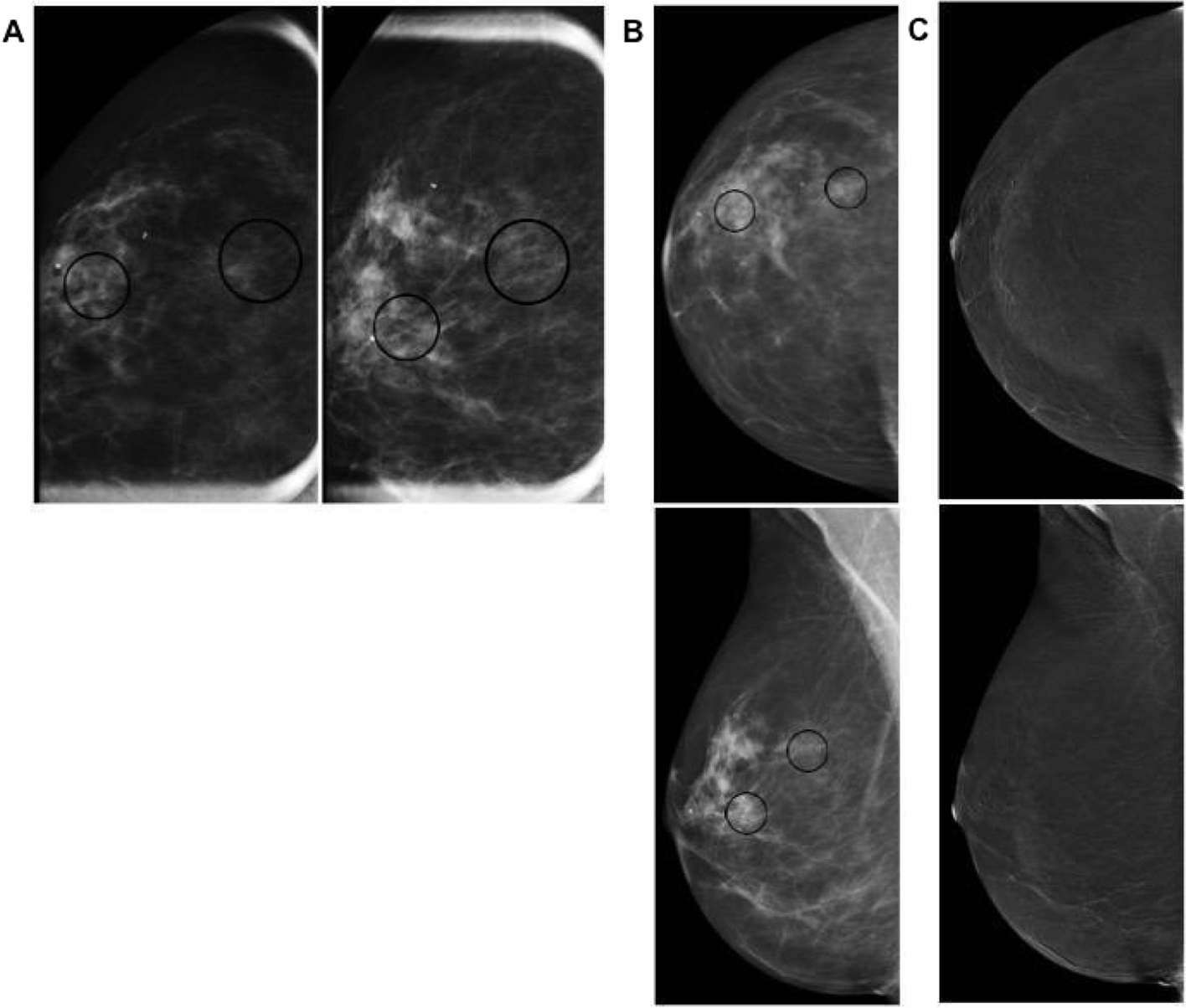 Fig. 12