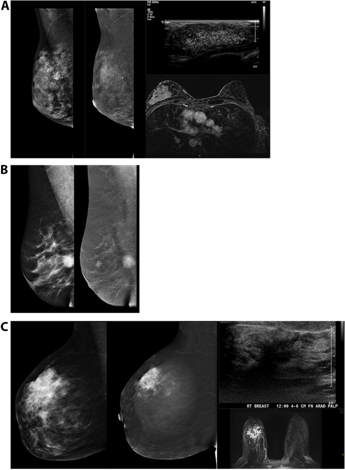 Fig. 5