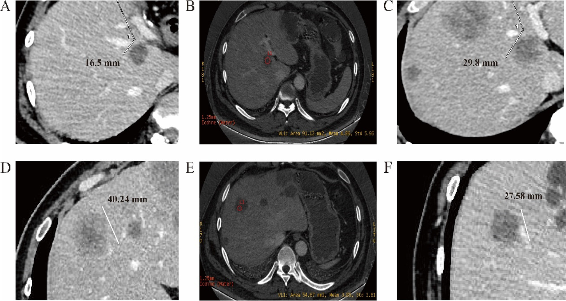 Fig. 4